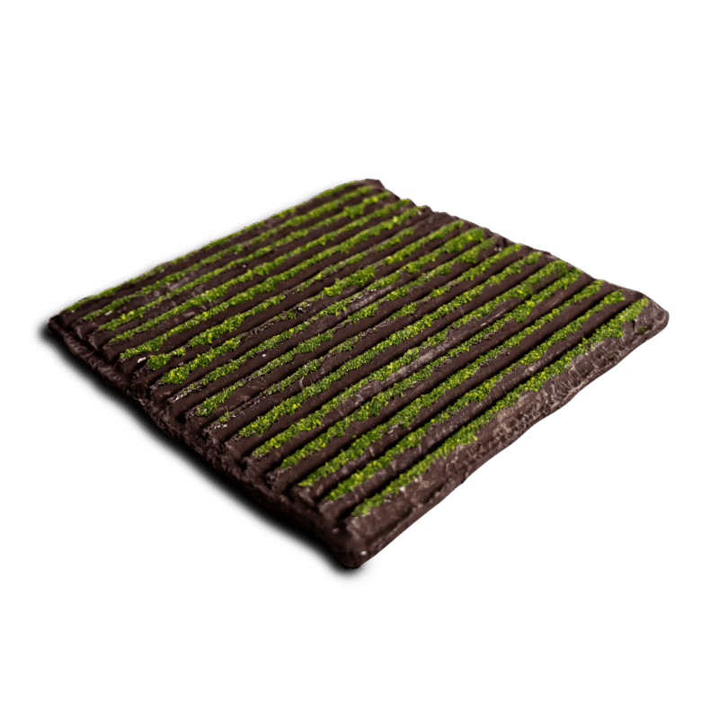 Farmed Field