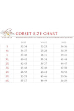 Load image into Gallery viewer, Top Drawer 4 PC Pirate Lady Corset Costume